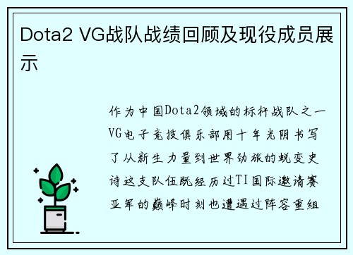 Dota2 VG战队战绩回顾及现役成员展示
