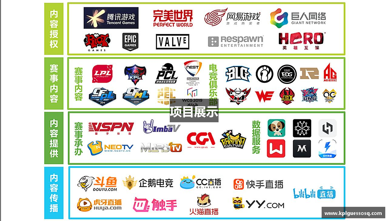 项目展示